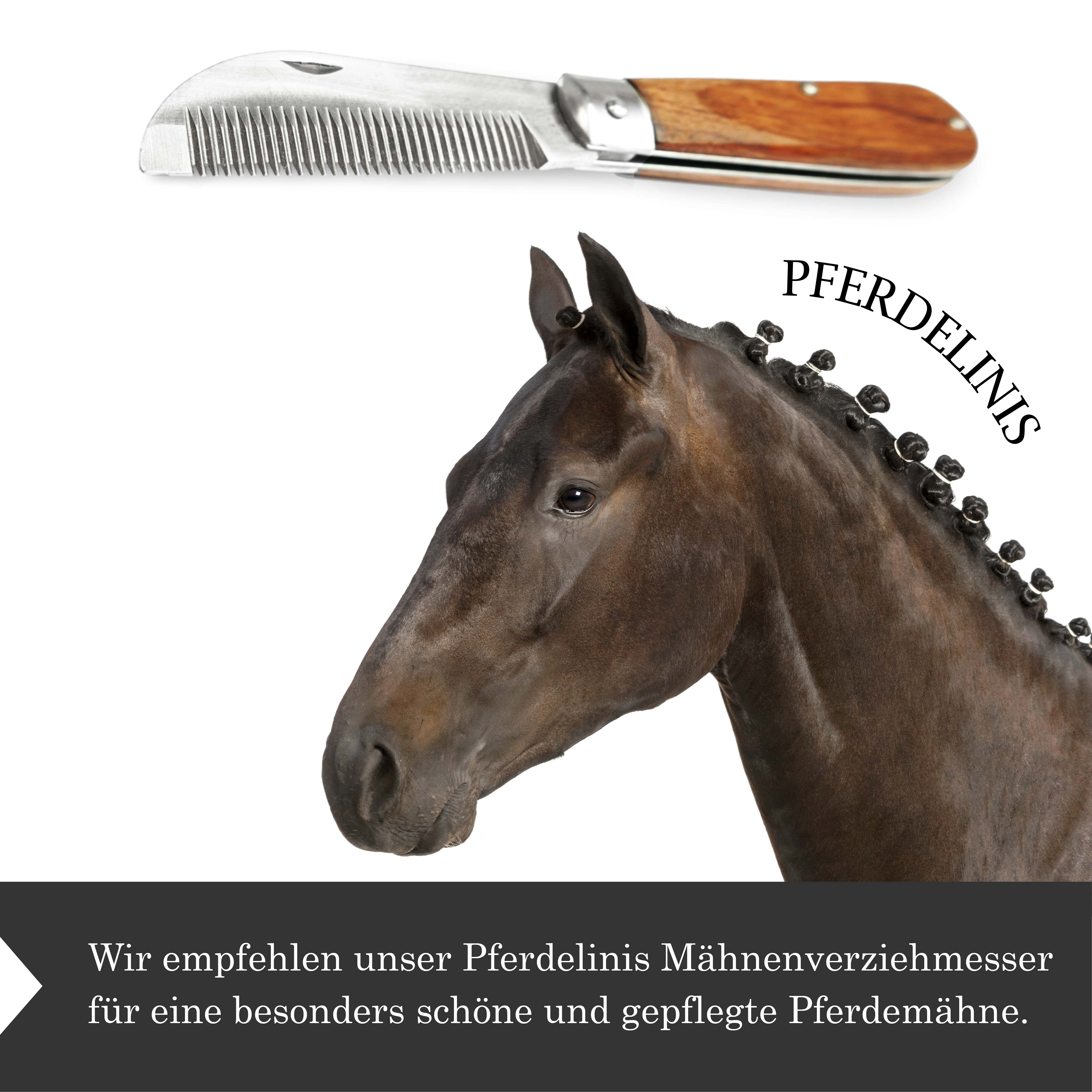 Mähnenverziehmesser Länge 18 cm, klappbar, Edelstahl